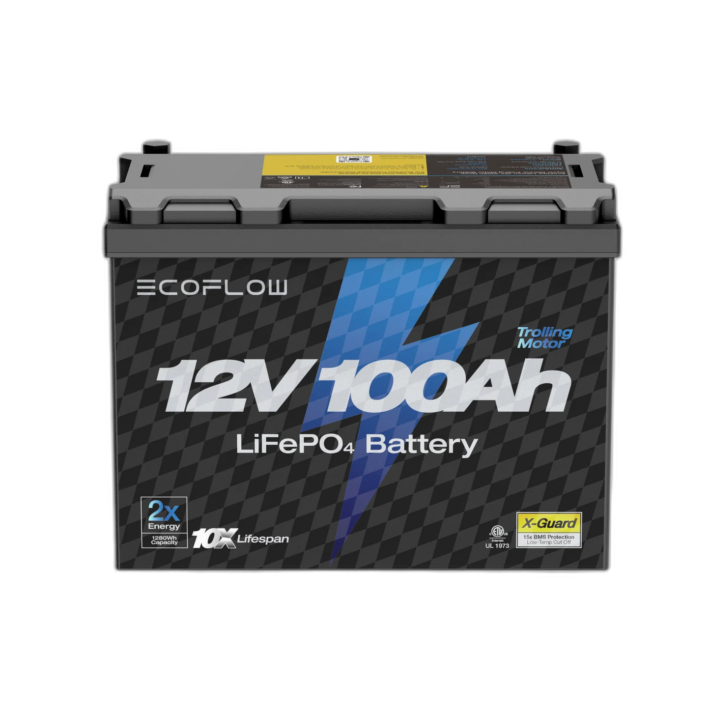 EcoFlow 12V 100Ah Lithium Battery
