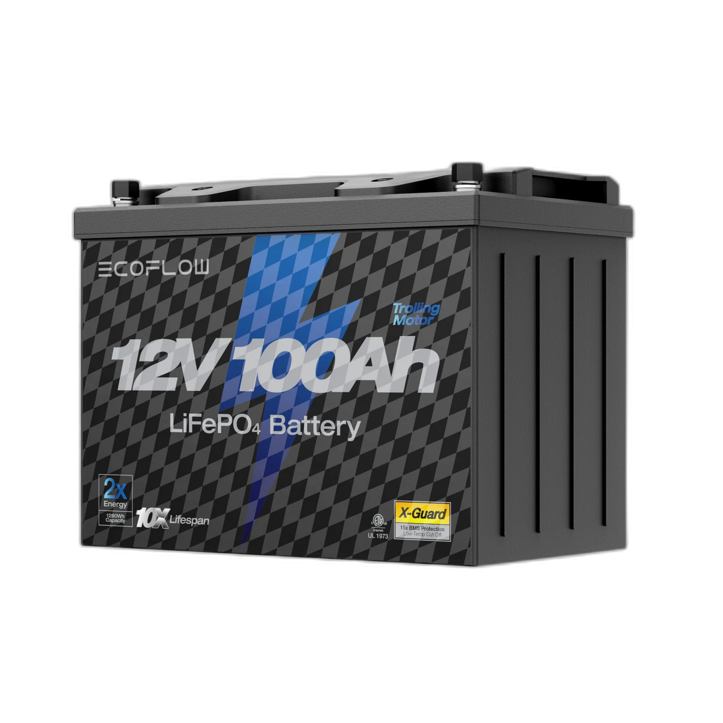 EcoFlow 12V 100Ah Lithium Battery